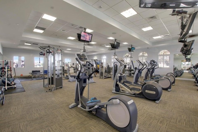 exercise room featuring a paneled ceiling, carpet, and a healthy amount of sunlight