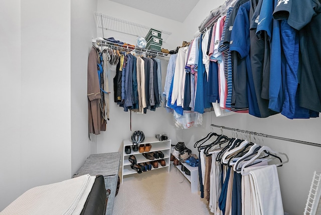 spacious closet with carpet