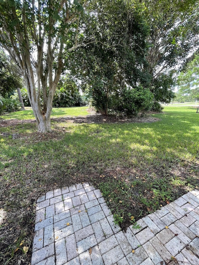 565 SW New Castle Cv, Port Saint Lucie, FL 34986 - view of green lawn