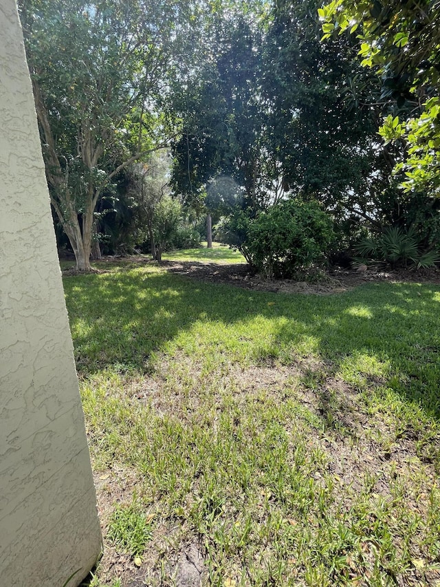 565 SW New Castle Cv, Port Saint Lucie, FL 34986 - view of green lawn