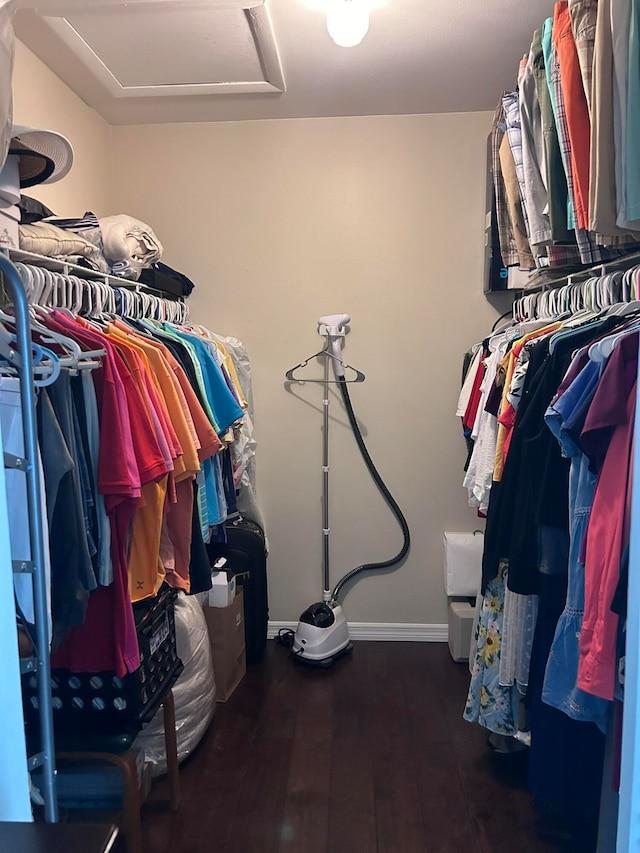 walk in closet featuring hardwood / wood-style flooring