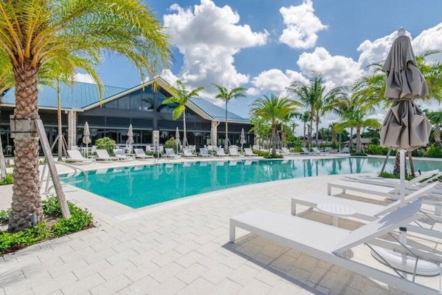 view of swimming pool with a patio