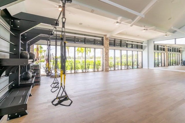 interior space with hardwood / wood-style flooring and ceiling fan