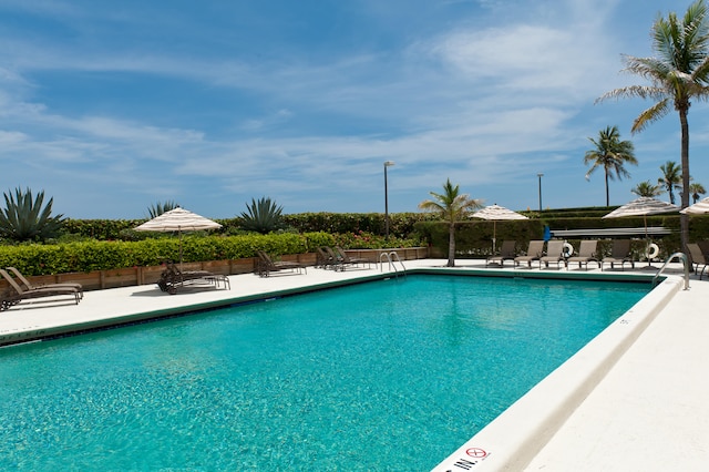 view of pool with a patio