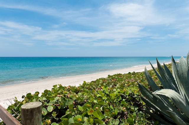 water view featuring a beach view