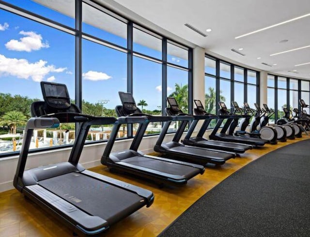 exercise room featuring a wealth of natural light