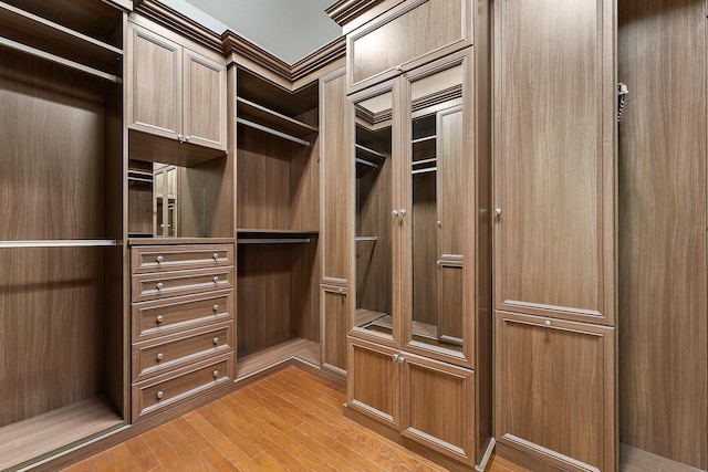 walk in closet featuring light hardwood / wood-style floors