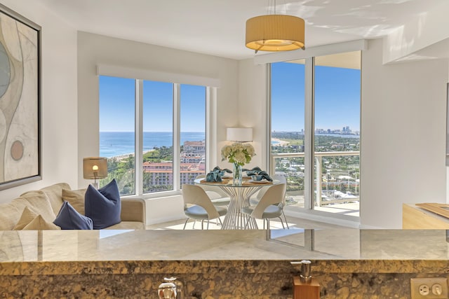 dining space with a healthy amount of sunlight and a water view