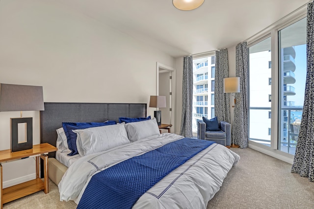 carpeted bedroom with multiple windows