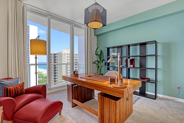 office with light carpet, a wealth of natural light, and a water view