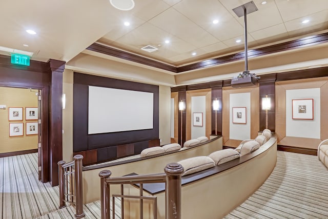 carpeted home theater featuring a raised ceiling