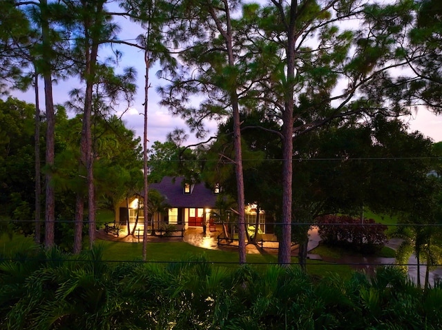 view of back house at dusk