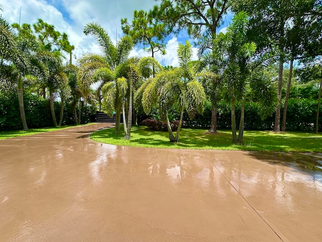 view of home's community featuring a yard