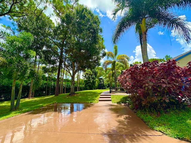 view of property's community with a lawn