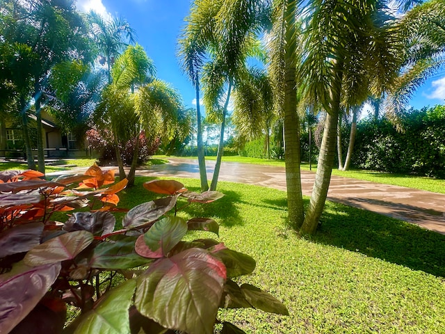 view of home's community with a lawn