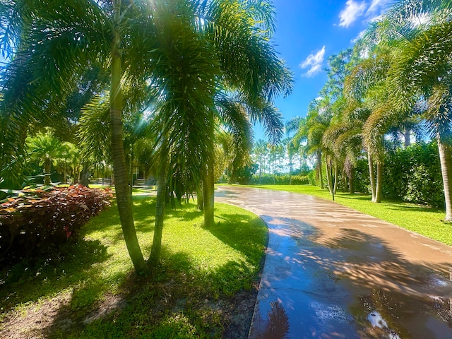 view of home's community with a lawn