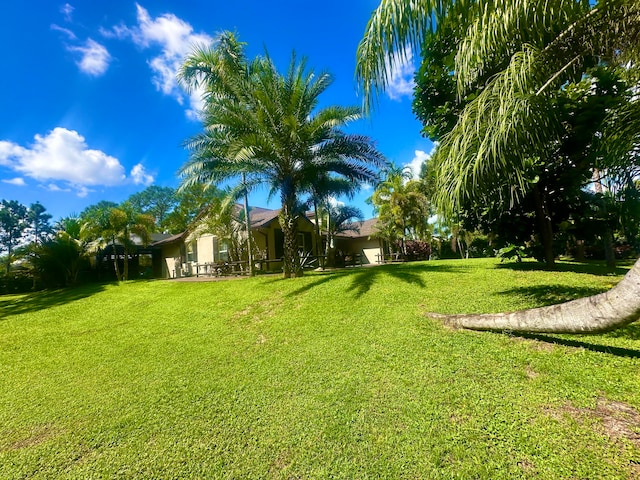 view of yard