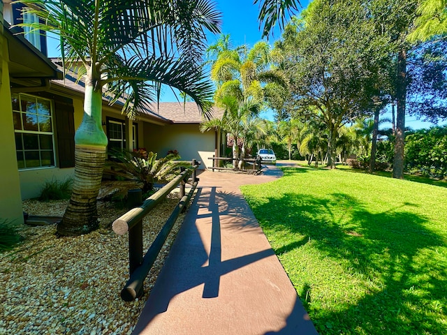 view of yard featuring a patio