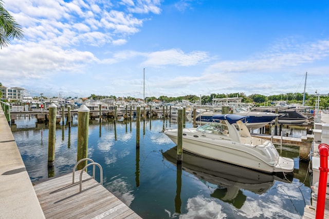 dock area with a water view