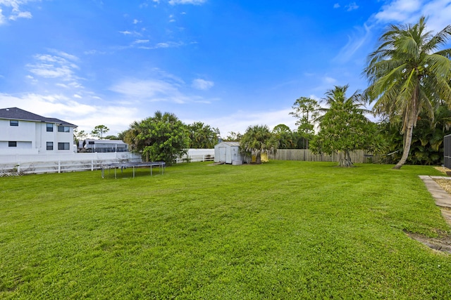 view of yard with a trampoline and a storage unit