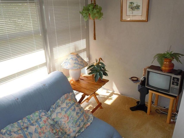 bedroom with light carpet and a textured ceiling