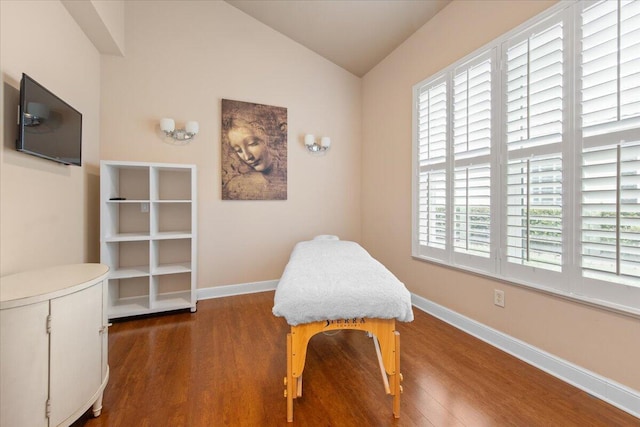 sitting room featuring a wealth of natural light, lofted ceiling, and dark hardwood / wood-style flooring