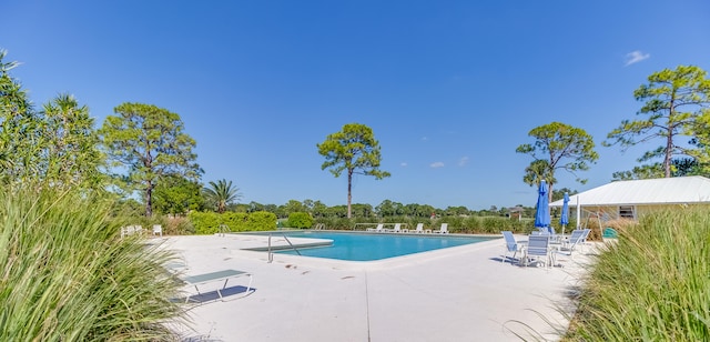 view of pool with a patio area