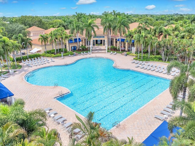 view of swimming pool with a patio