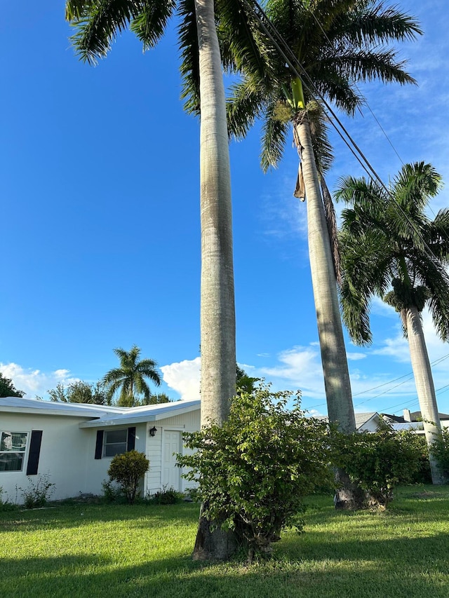 view of yard