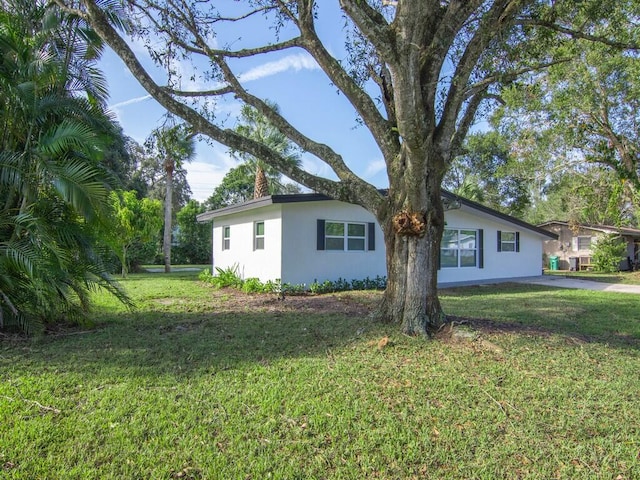 back of house featuring a patio and a lawn