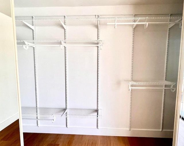 walk in closet with wood-type flooring