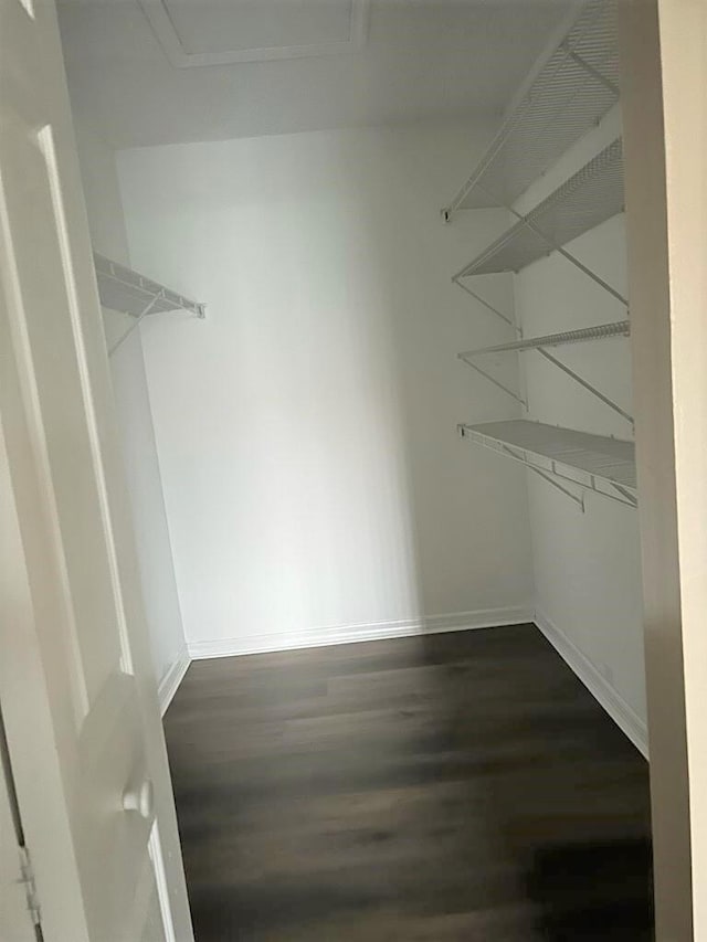 walk in closet featuring dark hardwood / wood-style floors