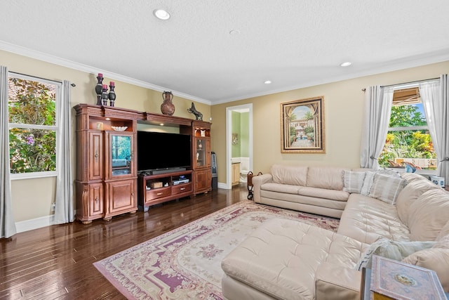 living room featuring a textured ceiling, ornamental molding, dark hardwood / wood-style floors, and plenty of natural light