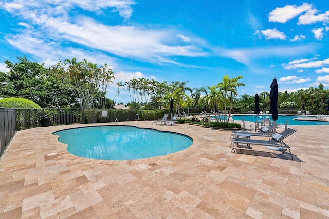 view of swimming pool featuring a patio area