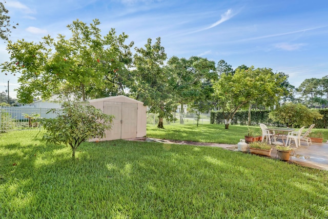 view of yard featuring a storage shed and a patio