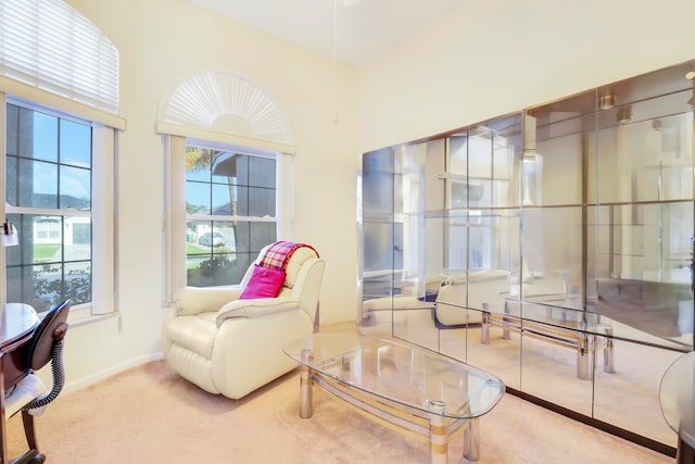 view of carpeted living room