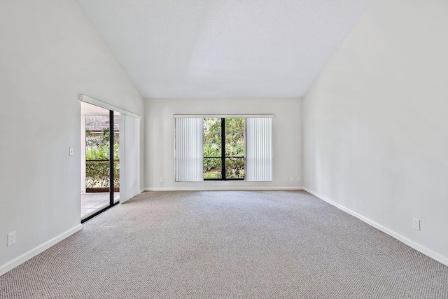 carpeted empty room featuring a wealth of natural light, lofted ceiling, and a textured ceiling