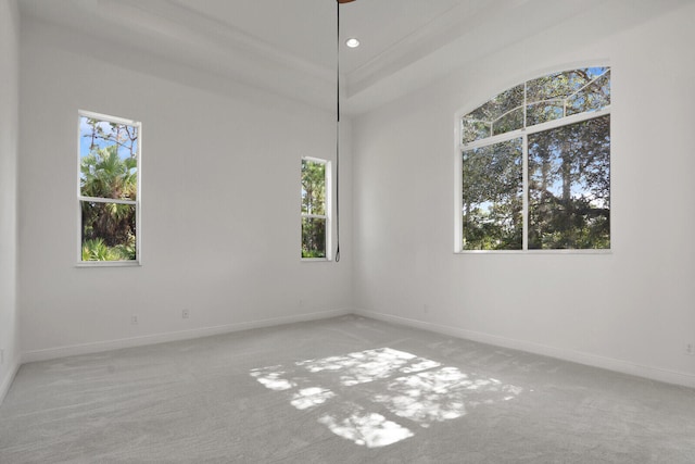 unfurnished room with light colored carpet and a wealth of natural light