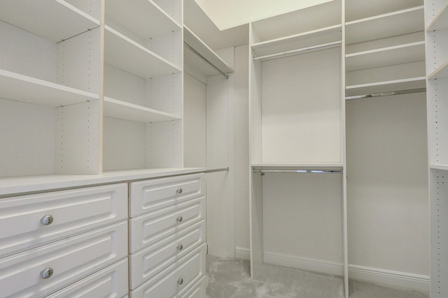 walk in closet with light carpet