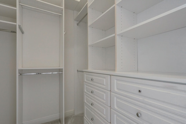 view of walk in closet