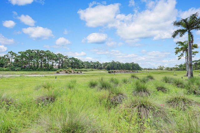 view of local wilderness featuring a rural view