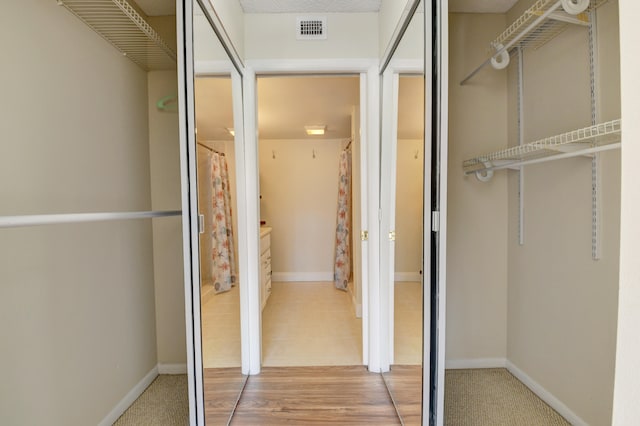 view of closet