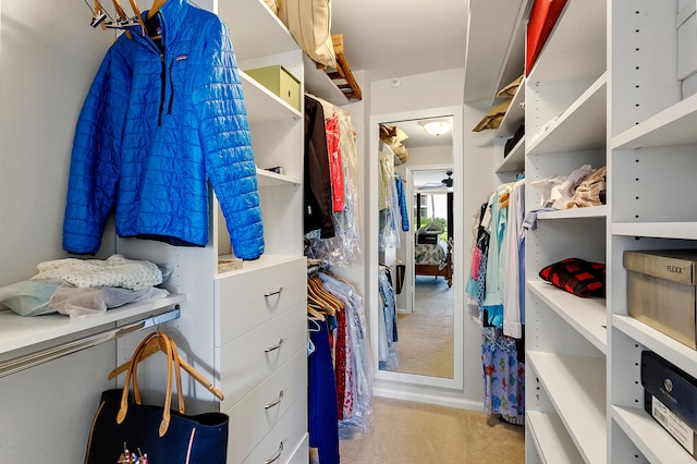 spacious closet featuring light carpet