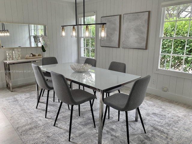 dining room with wood walls, light hardwood / wood-style floors, and a healthy amount of sunlight