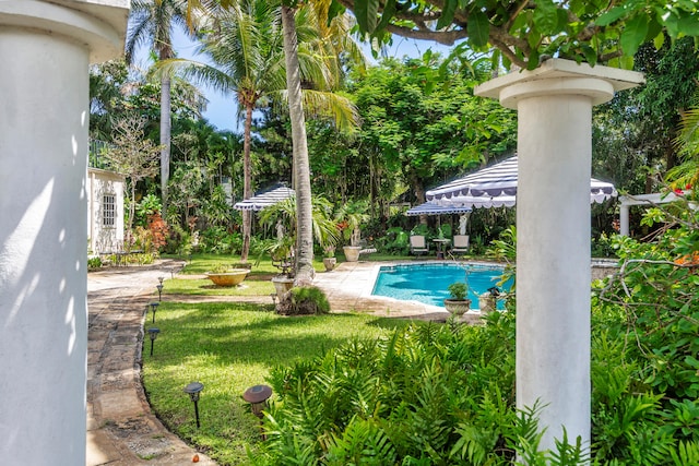 view of pool featuring a patio and a yard