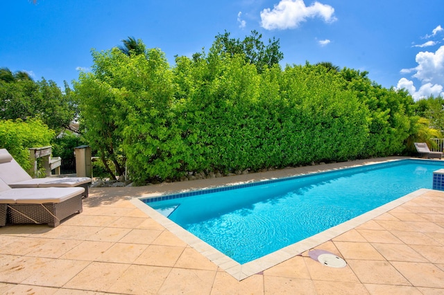 view of pool featuring a patio