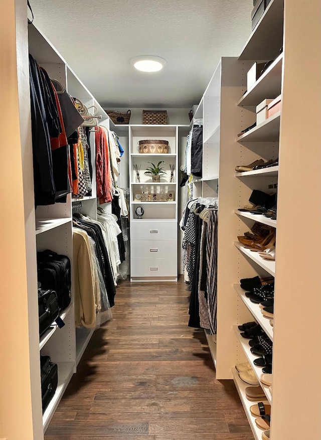 spacious closet featuring dark hardwood / wood-style flooring