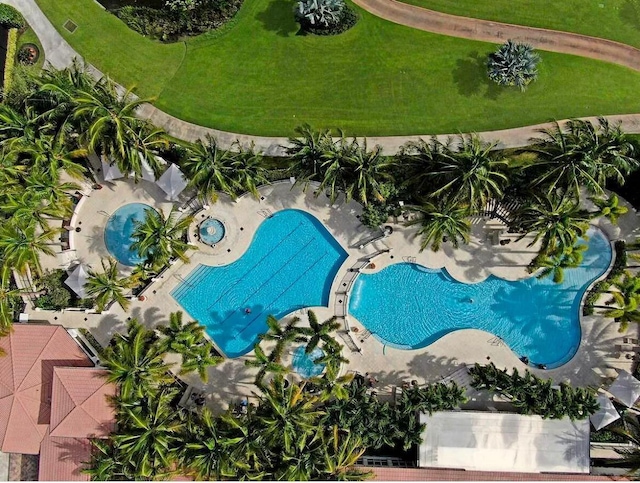 view of swimming pool with a yard and a patio area