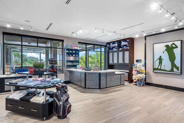 interior space with track lighting, plenty of natural light, and light hardwood / wood-style floors