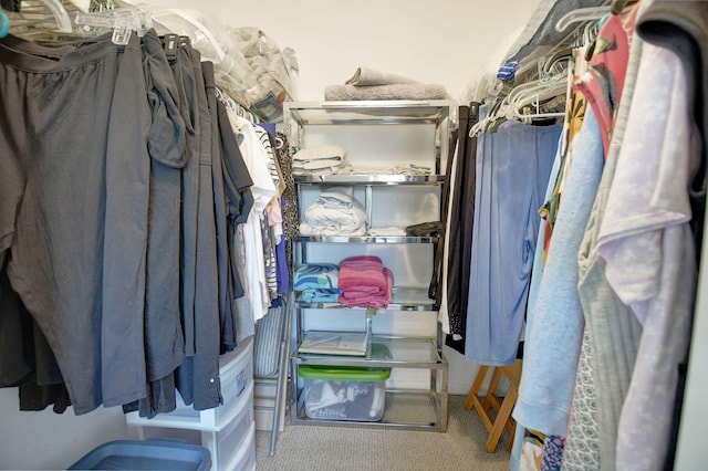 spacious closet featuring carpet flooring